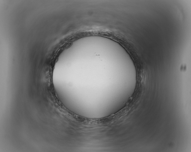 X0000110921493200907021446