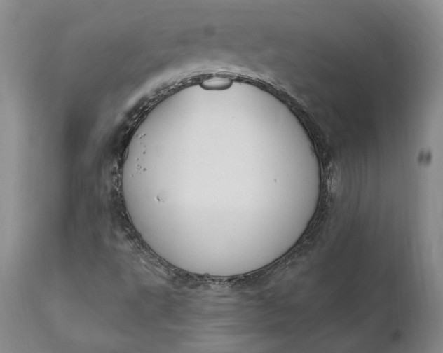 X0000110921495200907021446