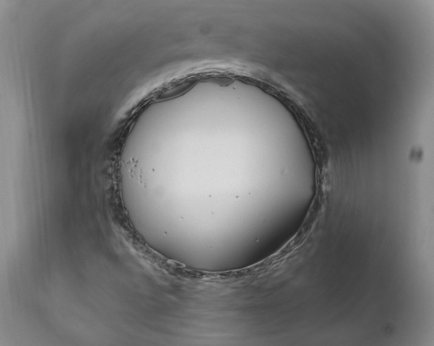 X0000110921496200907021446