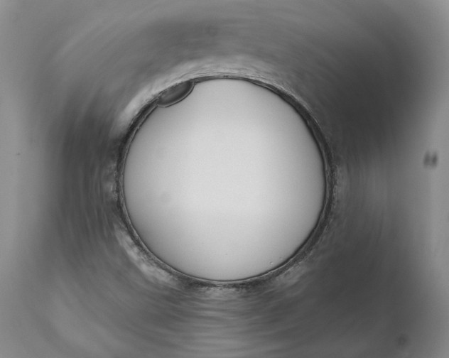 X0000110921499200907021446