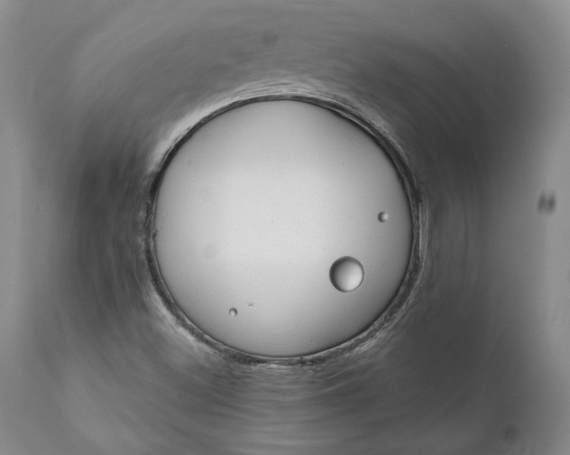 X0000110921500200907021446
