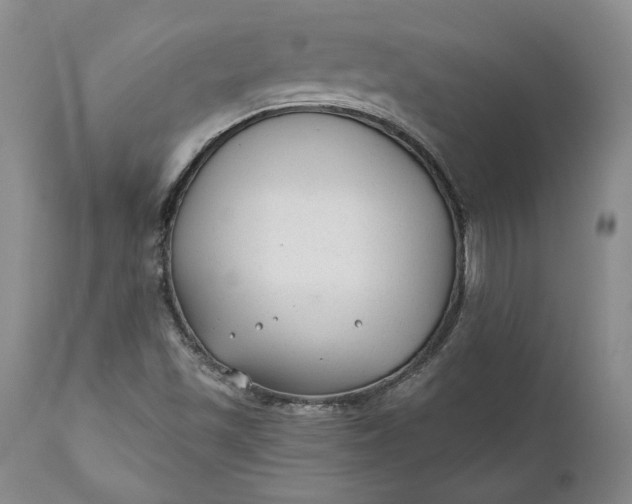 X0000110921501200907021446