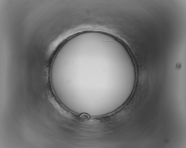 X0000110921503200907021446