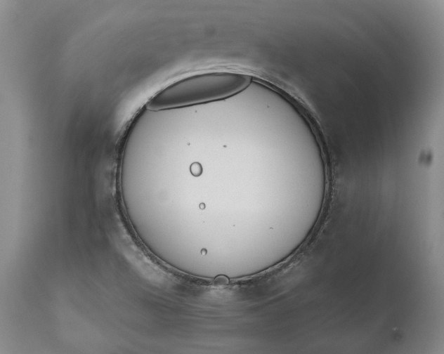 X0000110921504200907021446