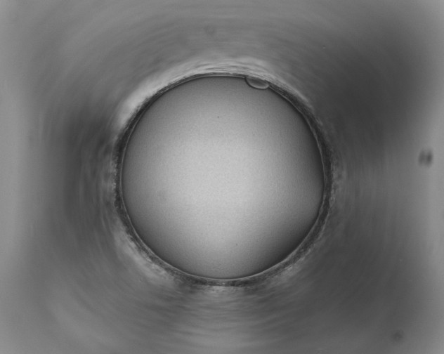 X0000110921506200907021446