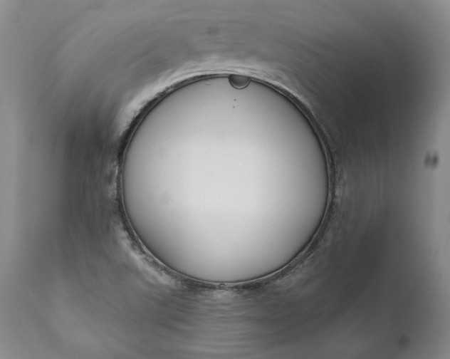 X0000110921507200907021446