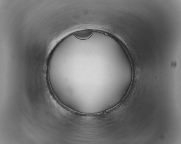X0000110921508200907021446