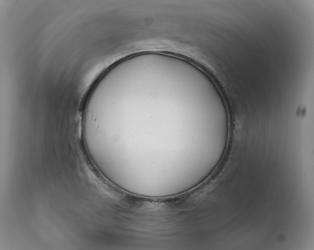 X0000110921509200907021446