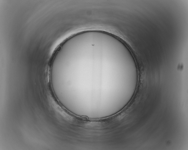 X0000110921510200907021446
