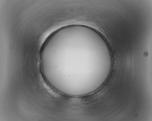X0000110921511200907021446