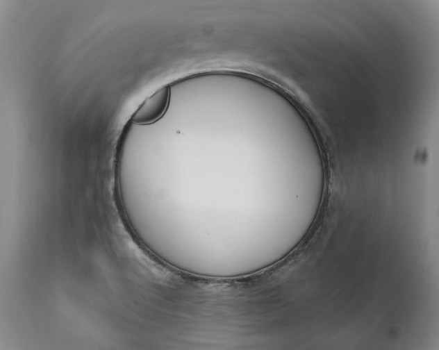 X0000110921512200907021446