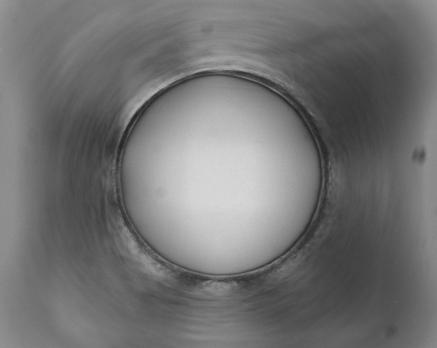 X0000110921513200907021446