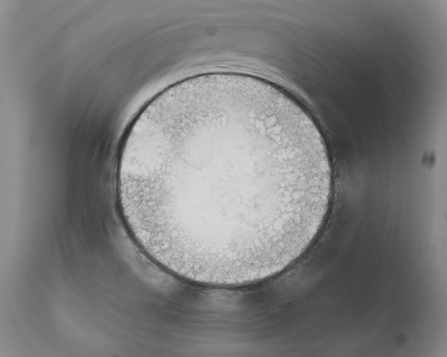 X0000110921514200907021446