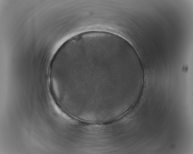 X0000110921515200907021447