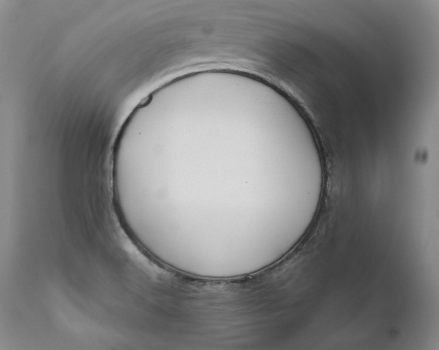 X0000110921516200907021447