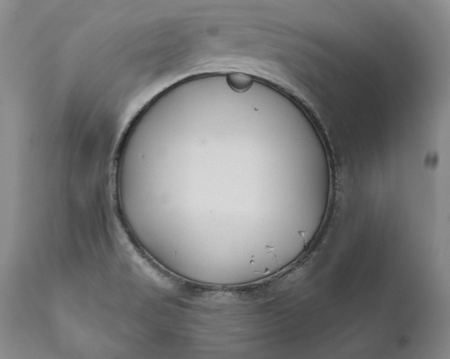 X0000110921517200907021447
