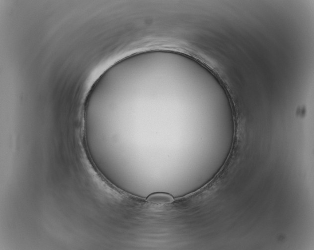 X0000110921520200907021447