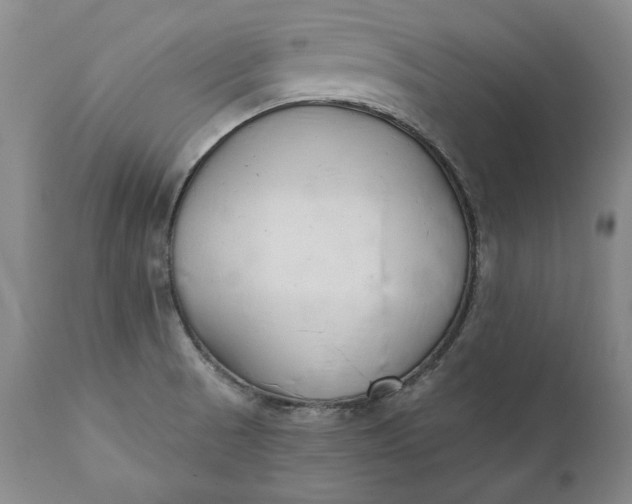 X0000110921521200907021447