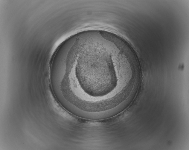 X0000110921522200907021447