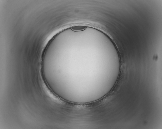 X0000110921523200907021447