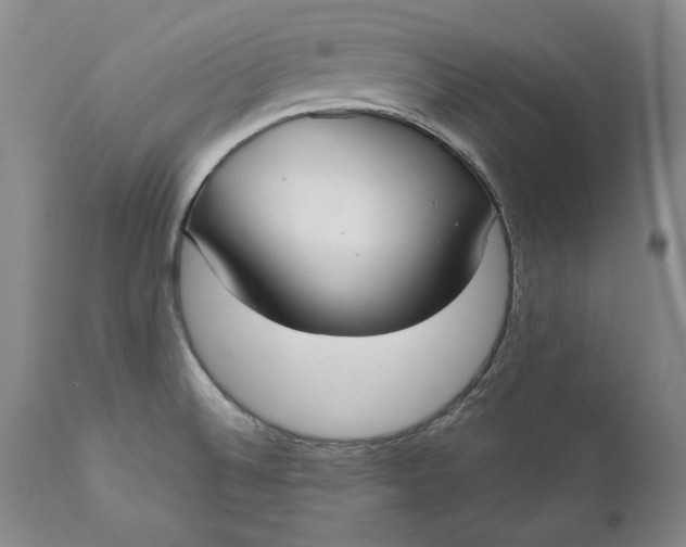 X0000110921524200907021447