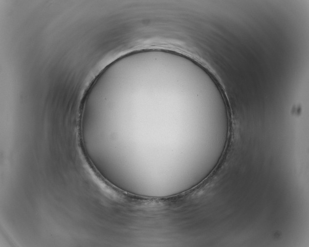 X0000110921525200907021447