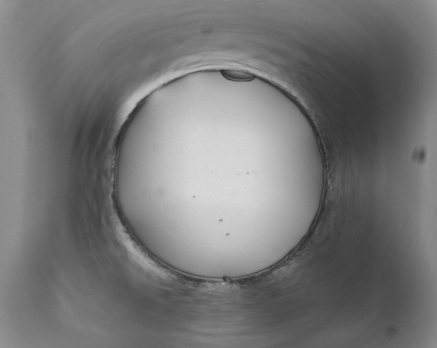 X0000110921526200907021447