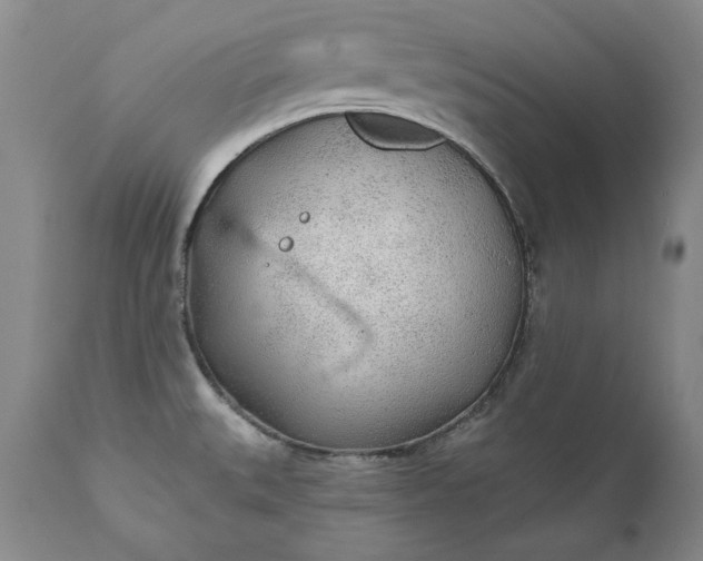 X0000110921527200907021447