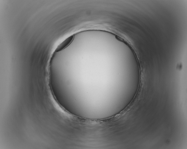 X0000110921528200907021447