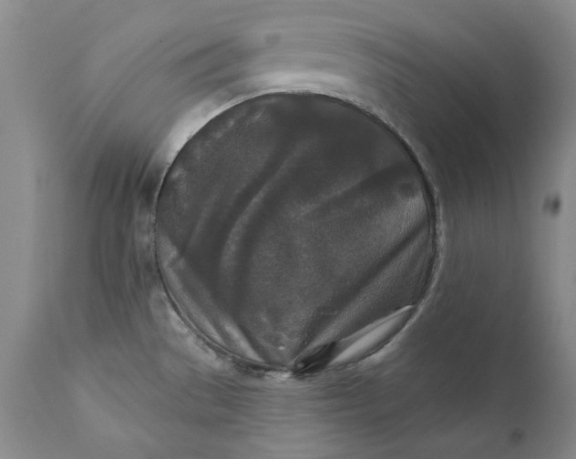 X0000110921529200907021447