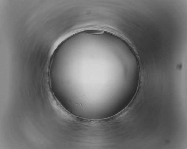 X0000110921530200907021447