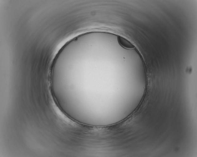 X0000110921531200907021447