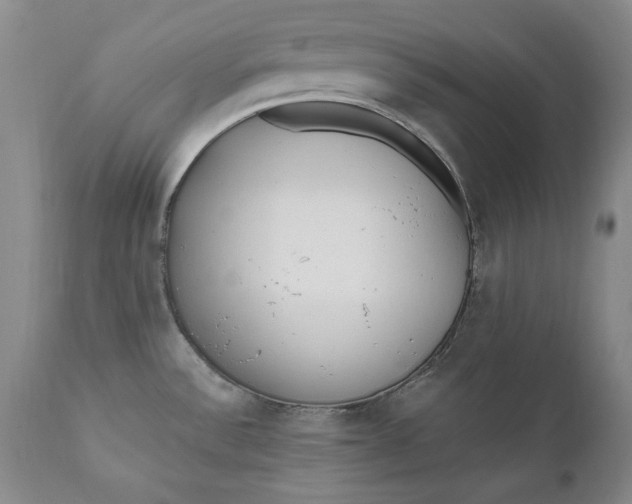 X0000110921532200907021447