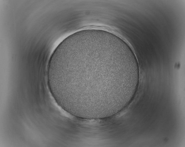 X0000110921533200907021447