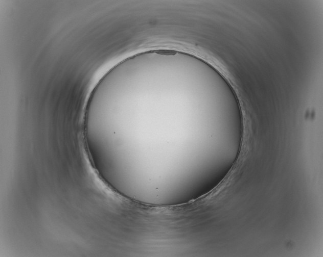 X0000110921536200907021447