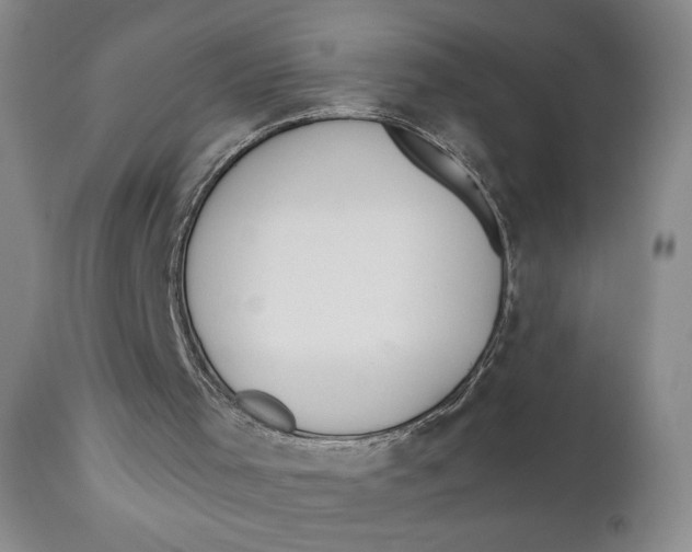 X0000110920001200907091508
