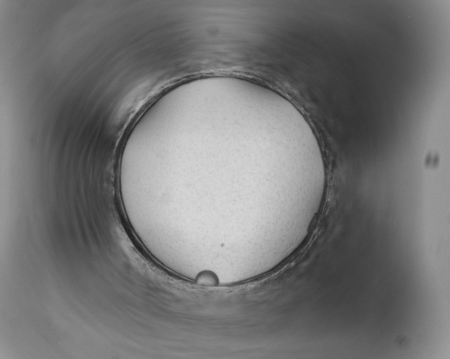X0000110920002200907091508