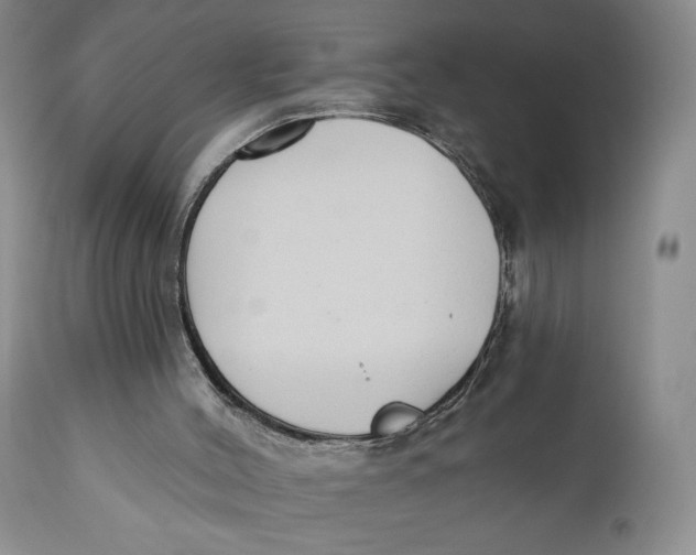 X0000110920004200907091508