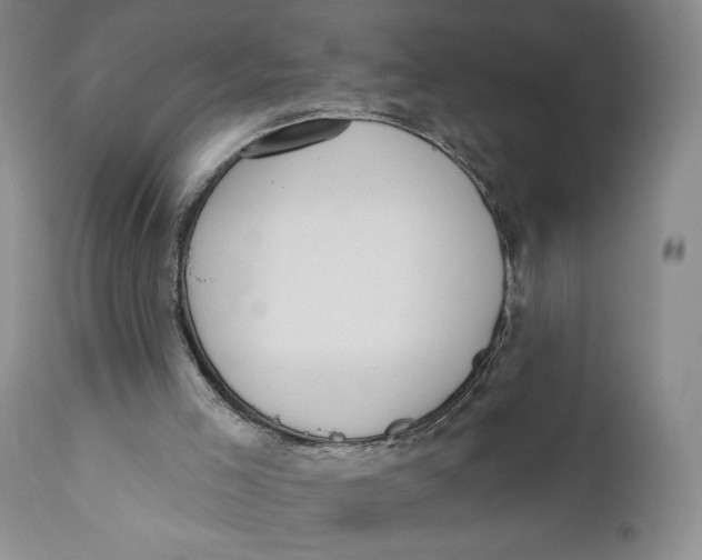 X0000110920005200907091508
