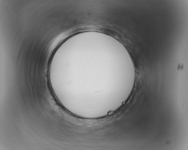 X0000110920006200907091508