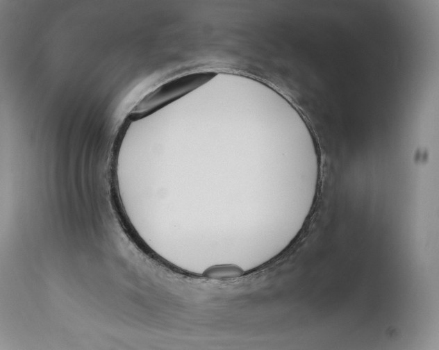 X0000110920007200907091508