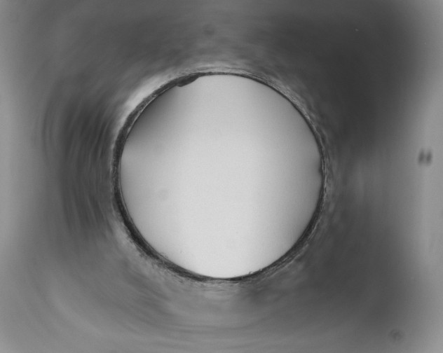 X0000110920008200907091508