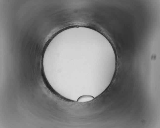 X0000110920011200907091508