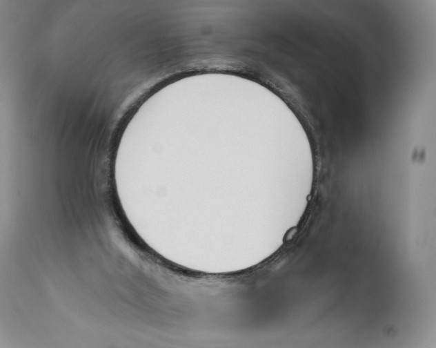 X0000110920012200907091508