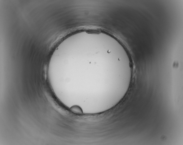 X0000110920013200907091508