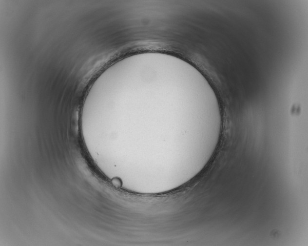 X0000110920014200907091508