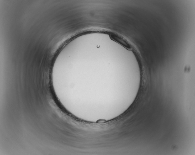 X0000110920015200907091508