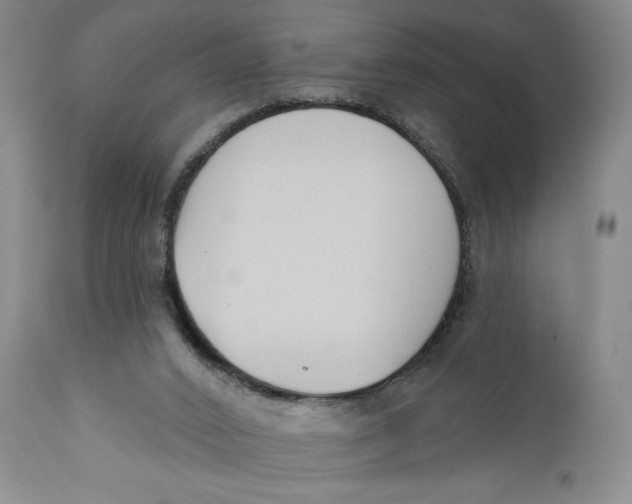 X0000110920016200907091508