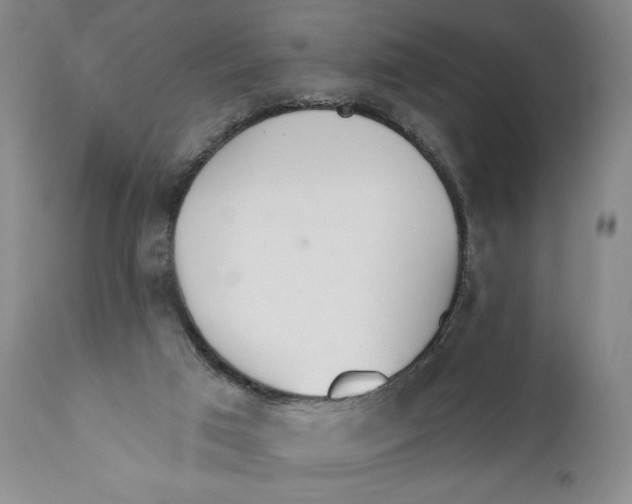 X0000110920017200907091508