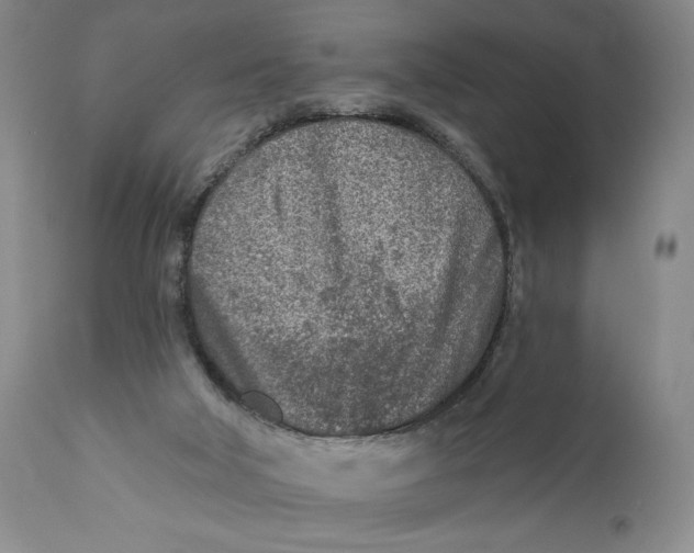 X0000110920018200907091508